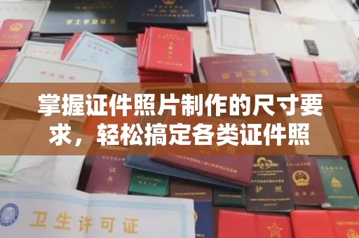 卢龙掌握证件照片制作的尺寸要求，轻松搞定各类证件照